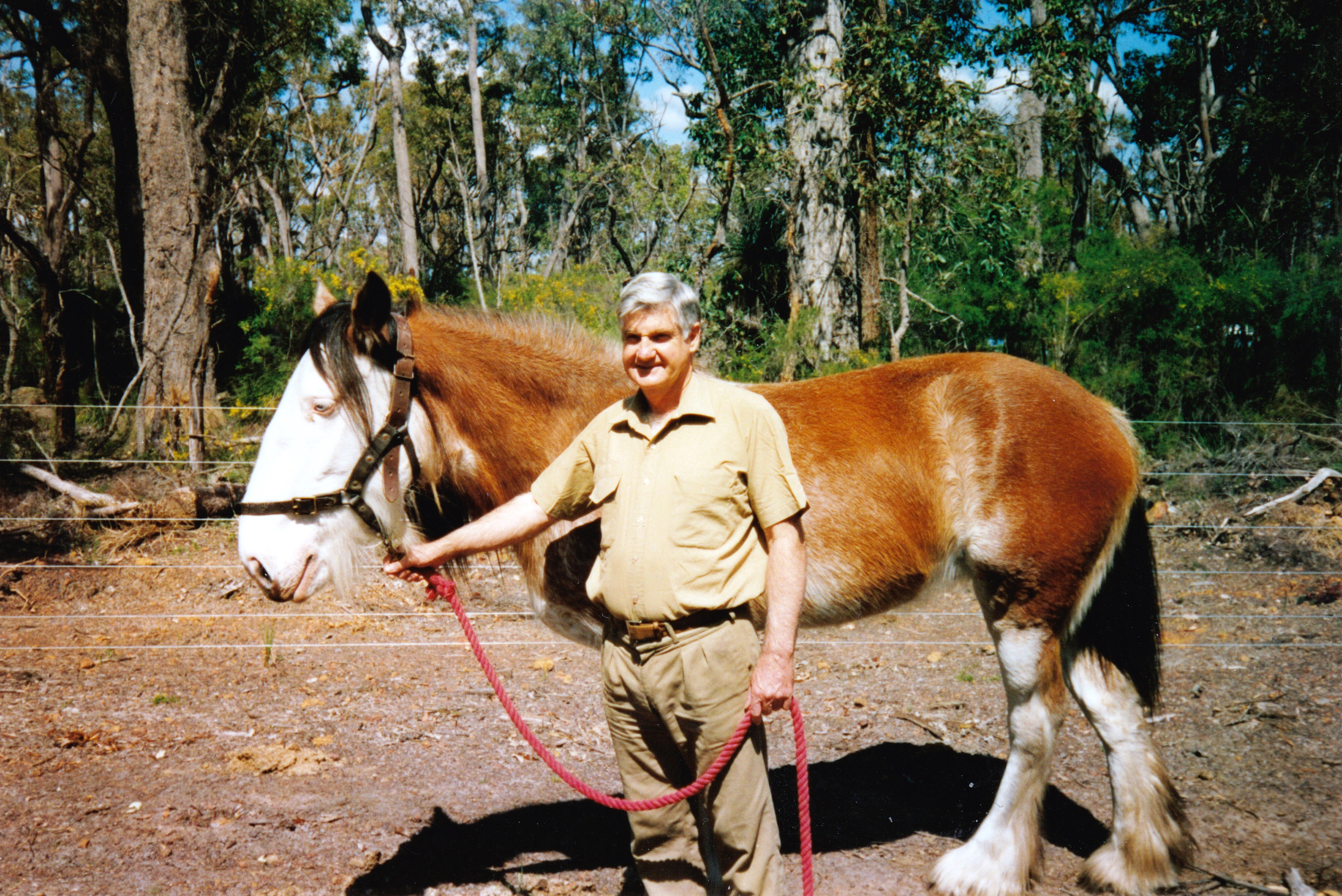 Robin with the family clydesdale Amy