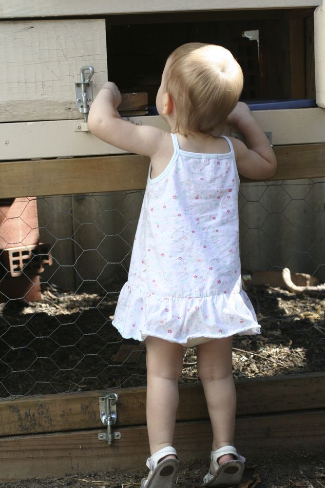 Daughter opening the nesting boxes to check for eggs