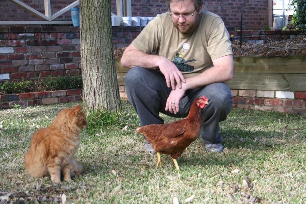Cat and me with an ISA Brown hen