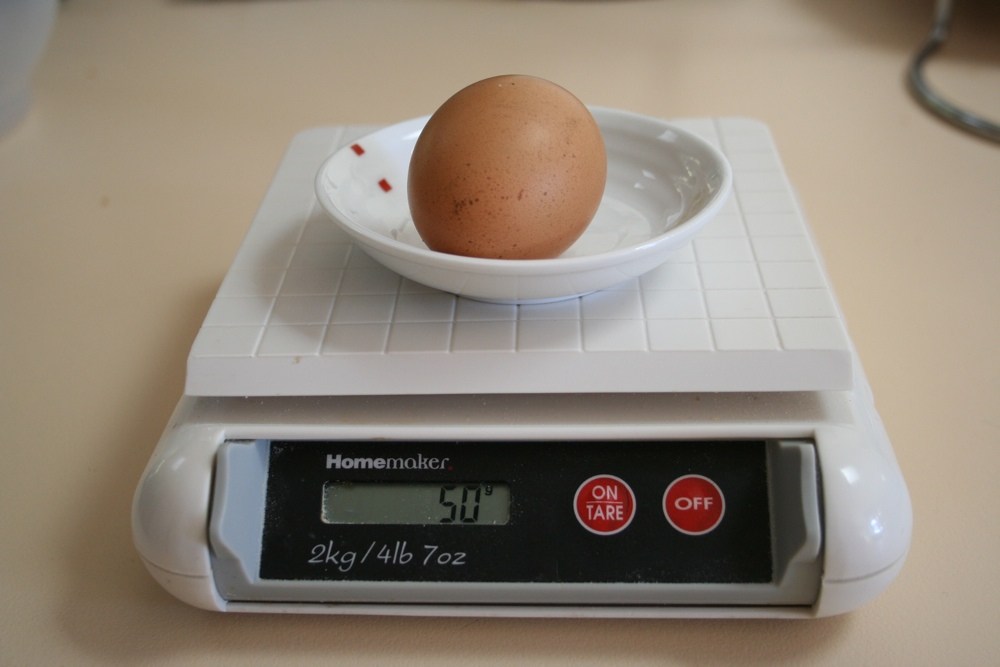 Our first egg on scales weighing 50g