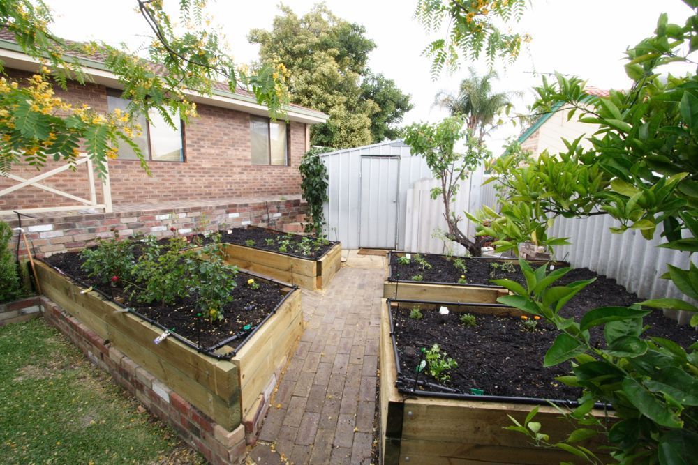 First planting of the garden beds